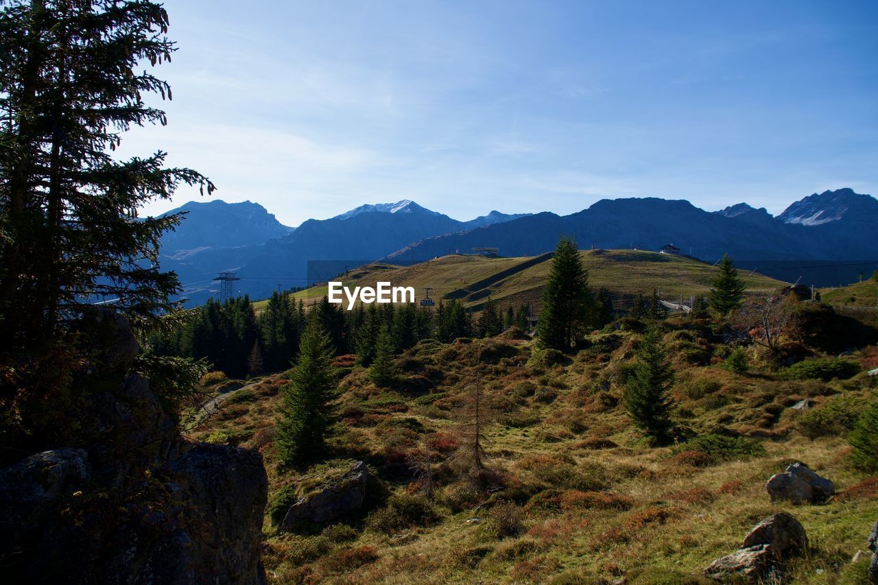 mountain, wilderness, scenics - nature, plant, tree, sky, environment, landscape, beauty in nature, nature, land, mountain range, pine tree, coniferous tree, forest, pinaceae, ridge, tranquility, no people, tranquil scene, travel, travel destinations, non-urban scene, autumn, pine woodland, cloud, outdoors, tourism, blue, valley, walking, day, adventure, idyllic, architecture, activity