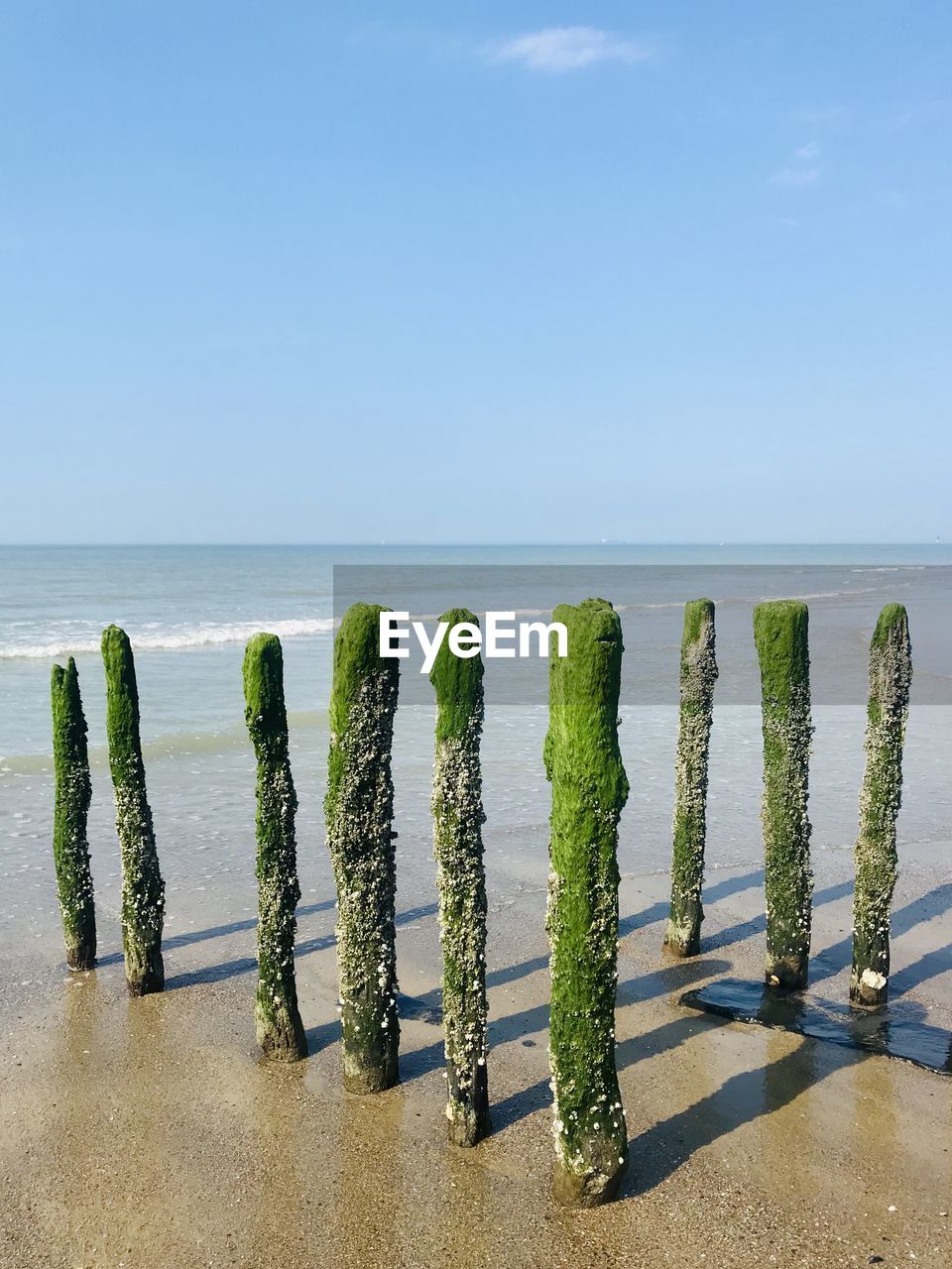 Panoramic view of wooden posts on beach against clear sky
