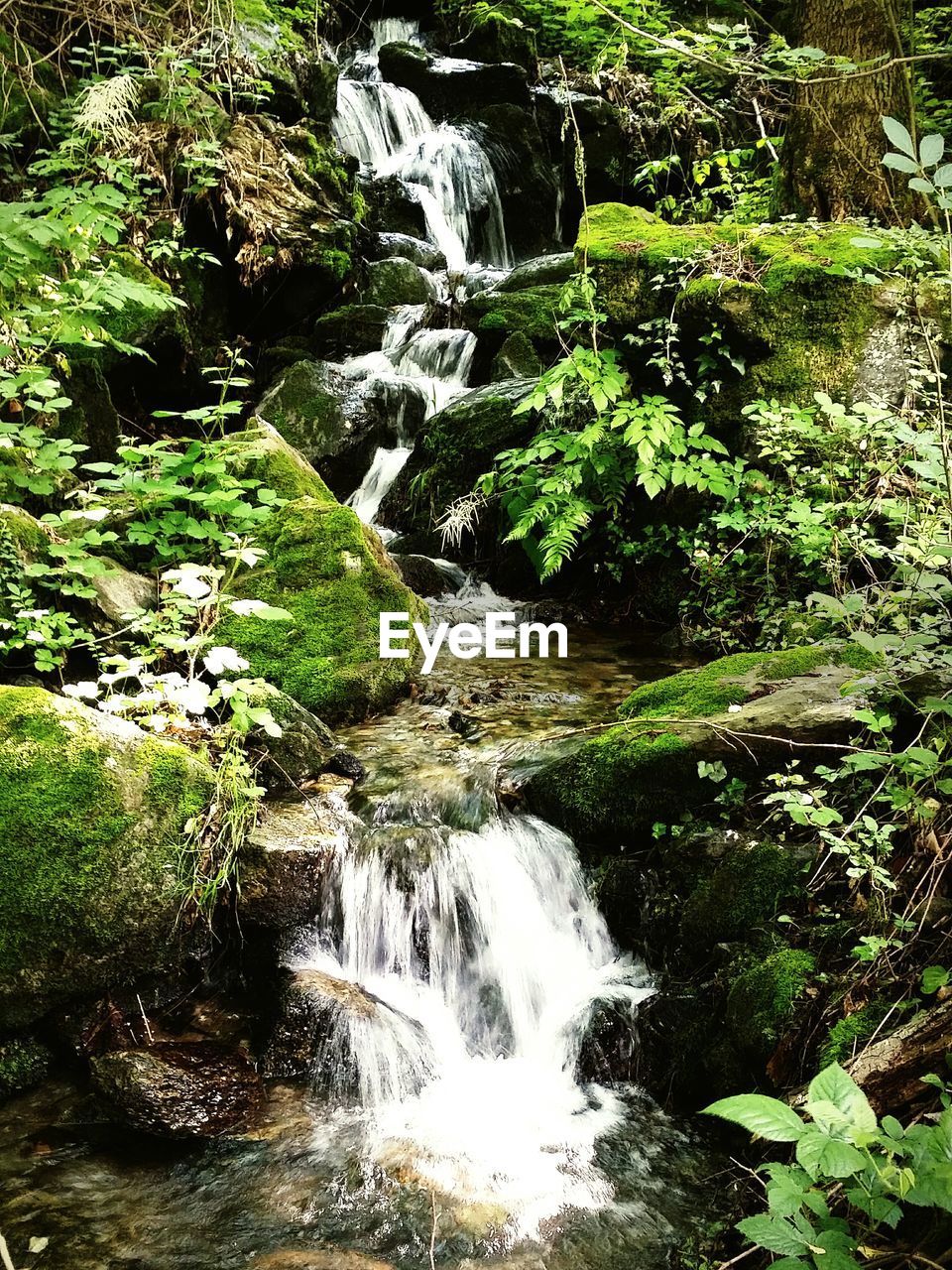 SCENIC VIEW OF WATERFALL
