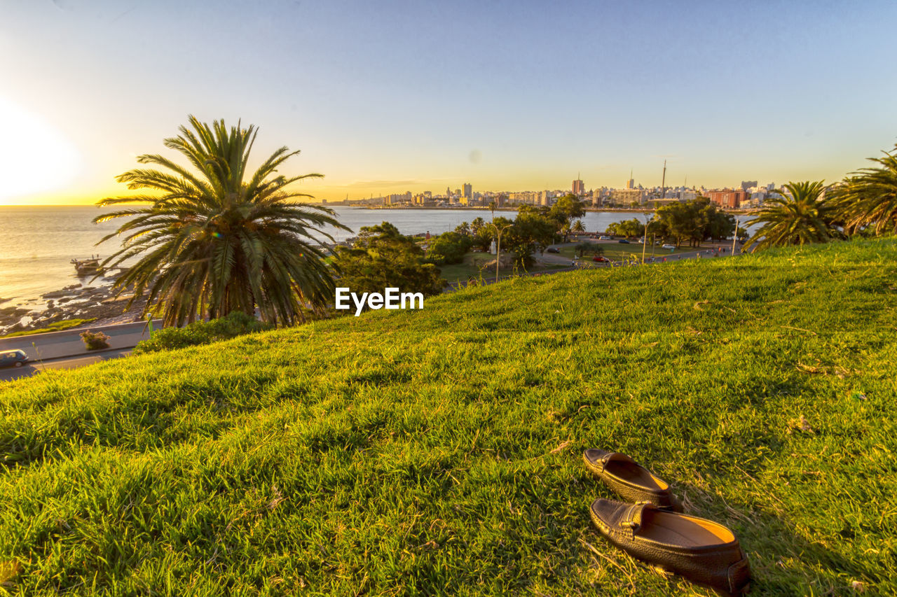 Scenic view of sea against clear sky