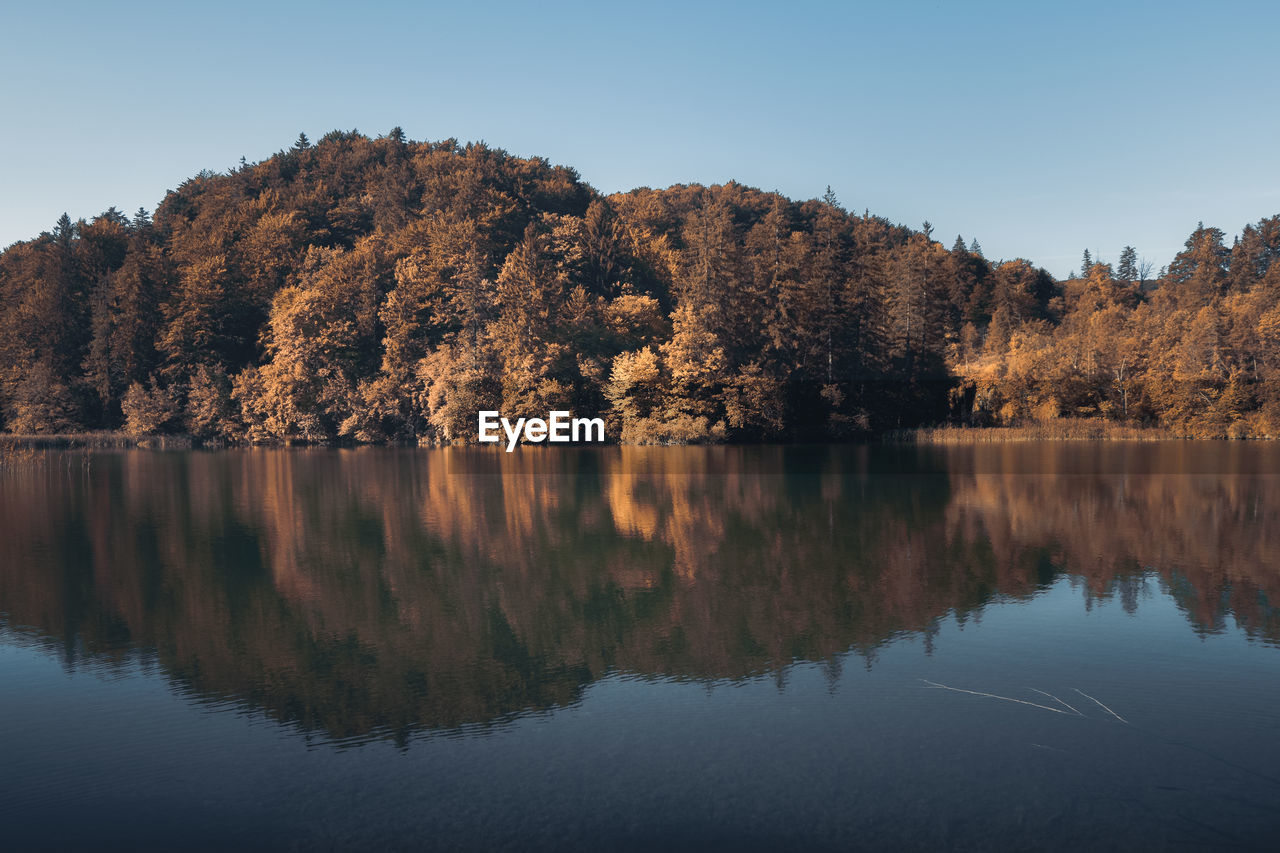 Reflection of trees in lake against clear sky