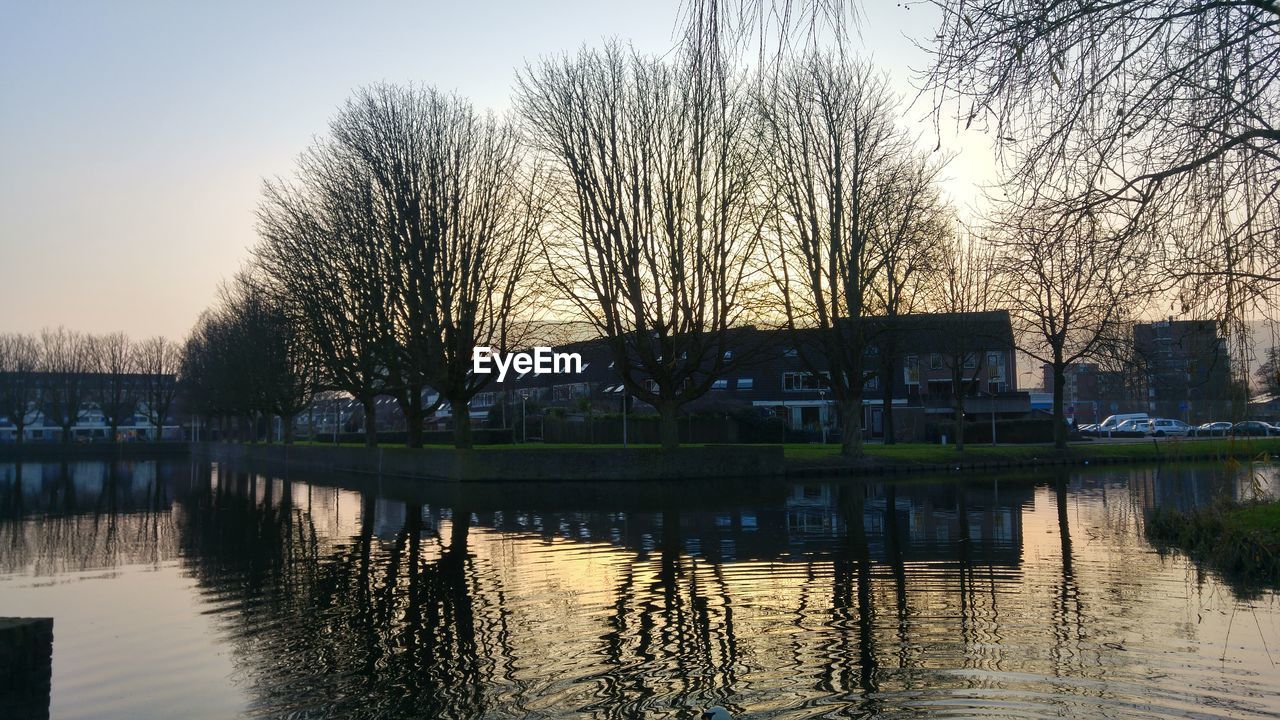 REFLECTION OF BARE TREES IN LAKE