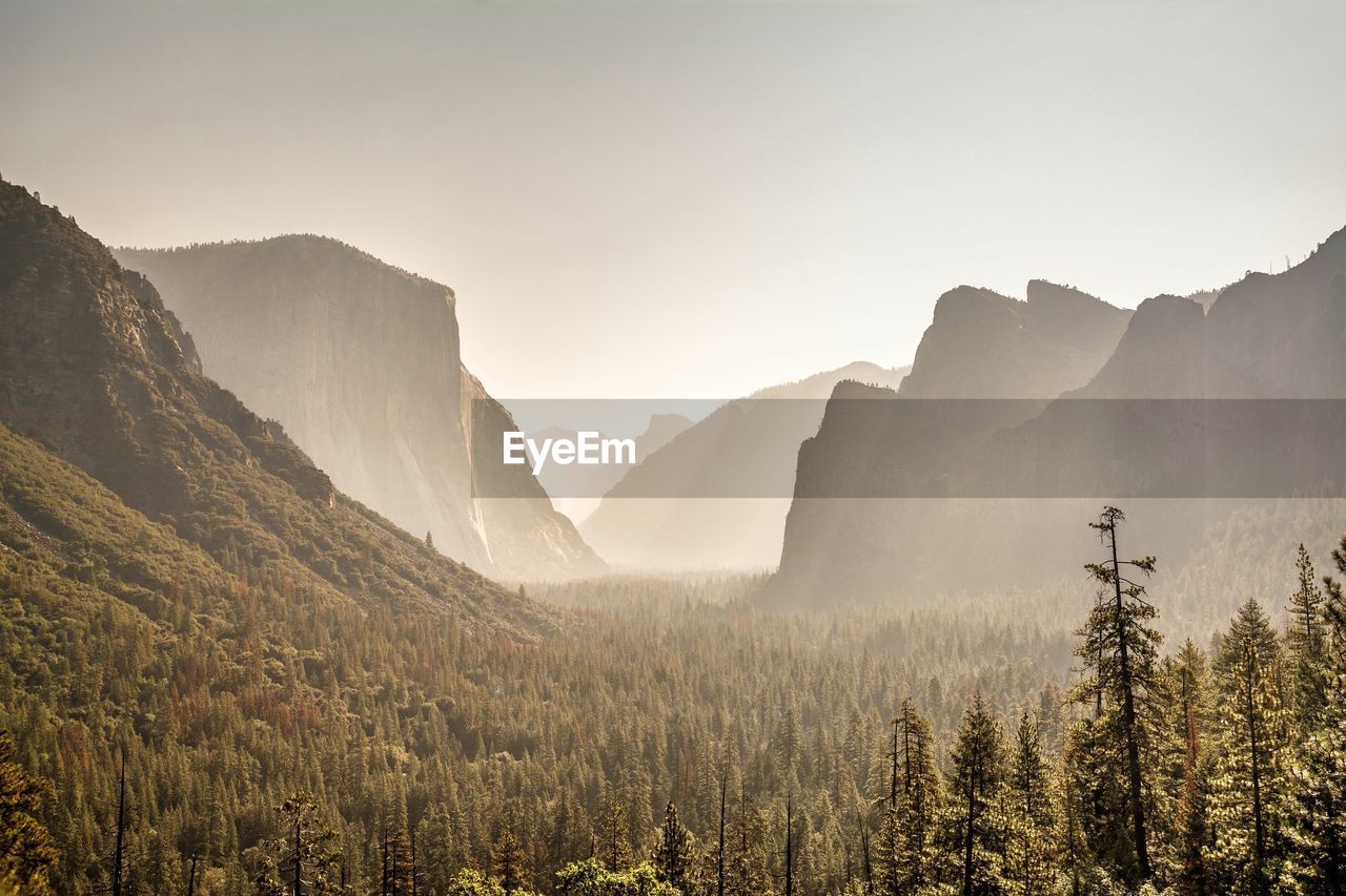 Scenic view of trees and mountains against clear sky during foggy weather