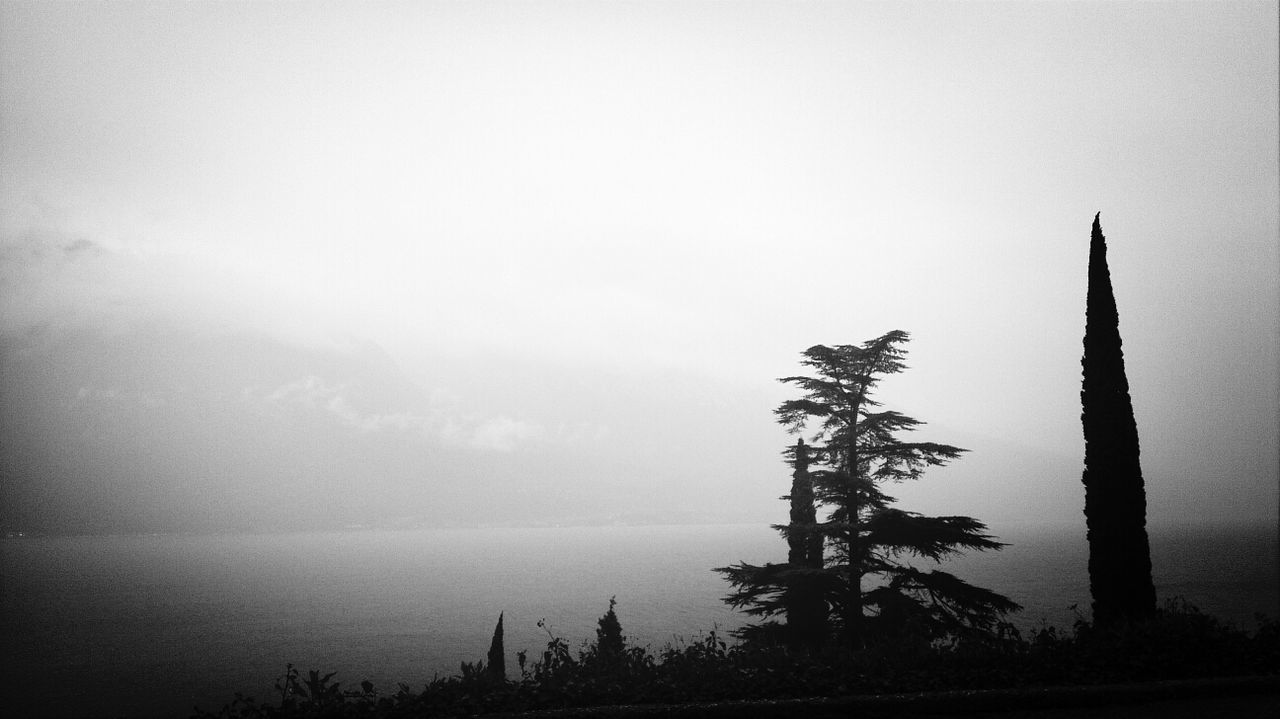 Idyllic view of lake in foggy weather