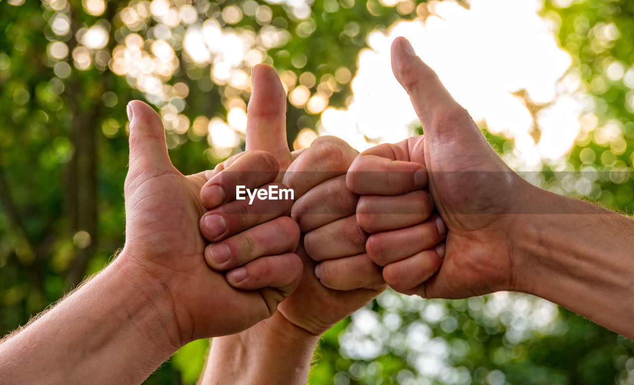 Cropped image of people showing thumbs up