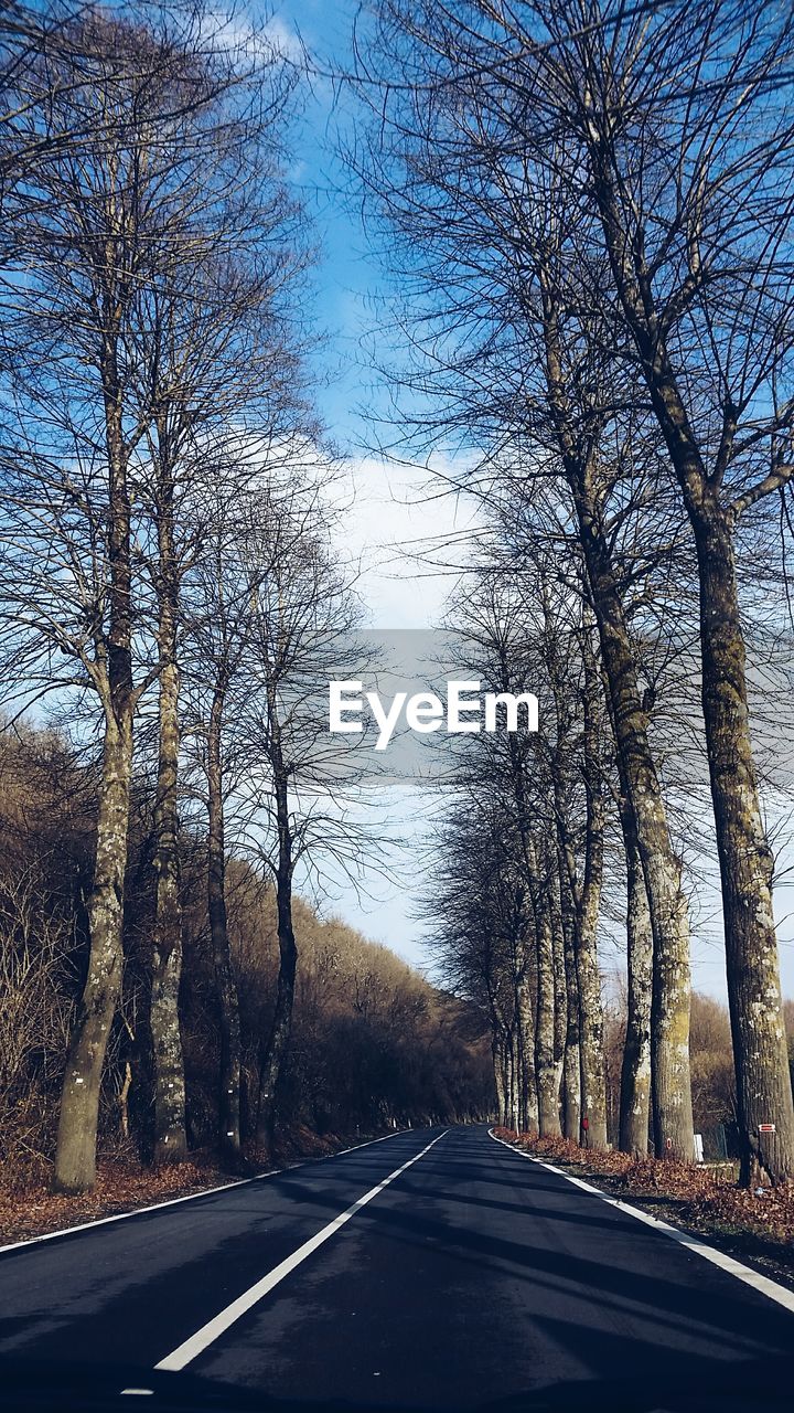 Empty road with trees in background