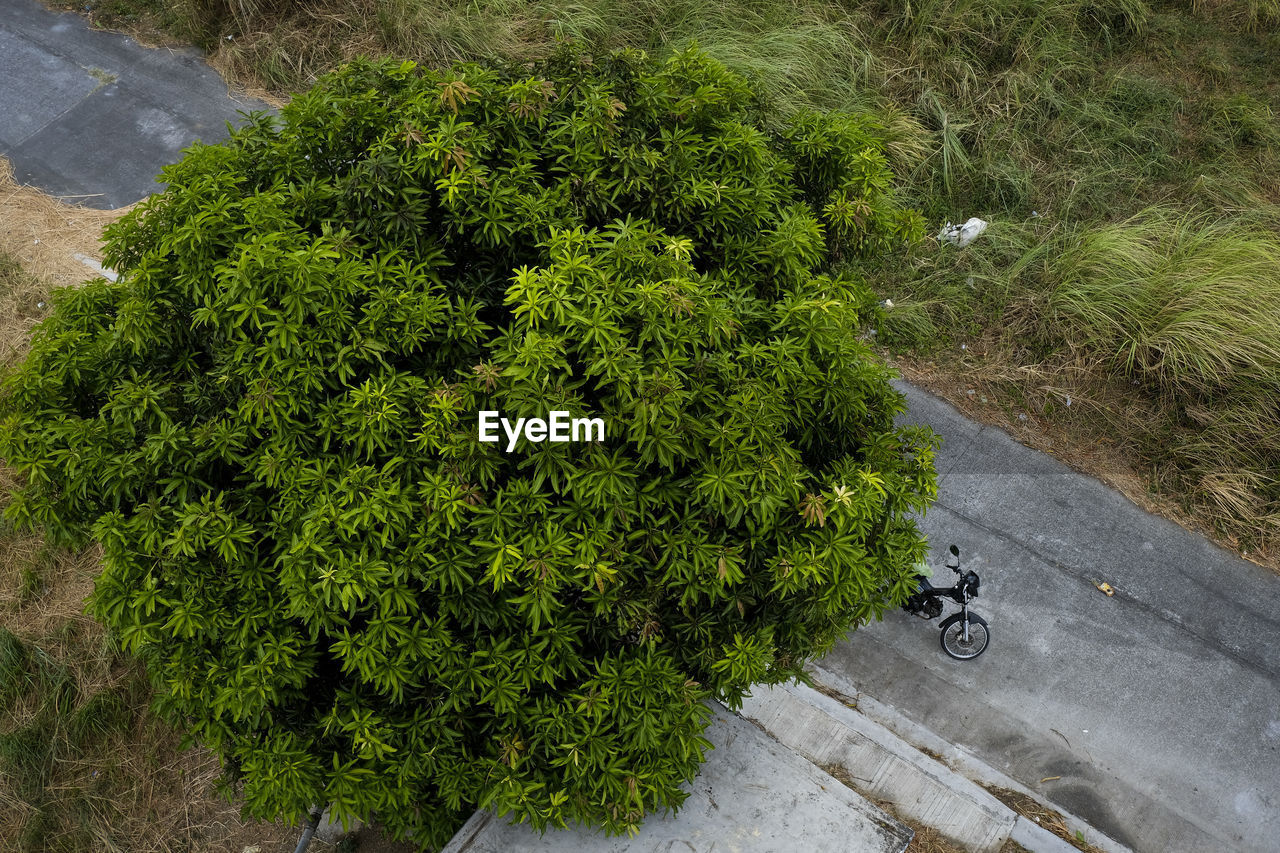 High angle view of motorcycle on road in city