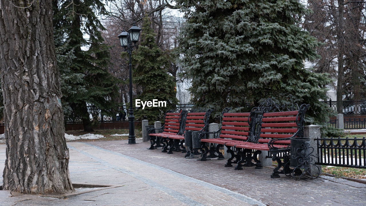 tree, plant, tree trunk, trunk, transport, nature, transportation, seat, street, bench, day, snow, winter, city, outdoors, no people, vehicle, architecture, urban area, mode of transportation