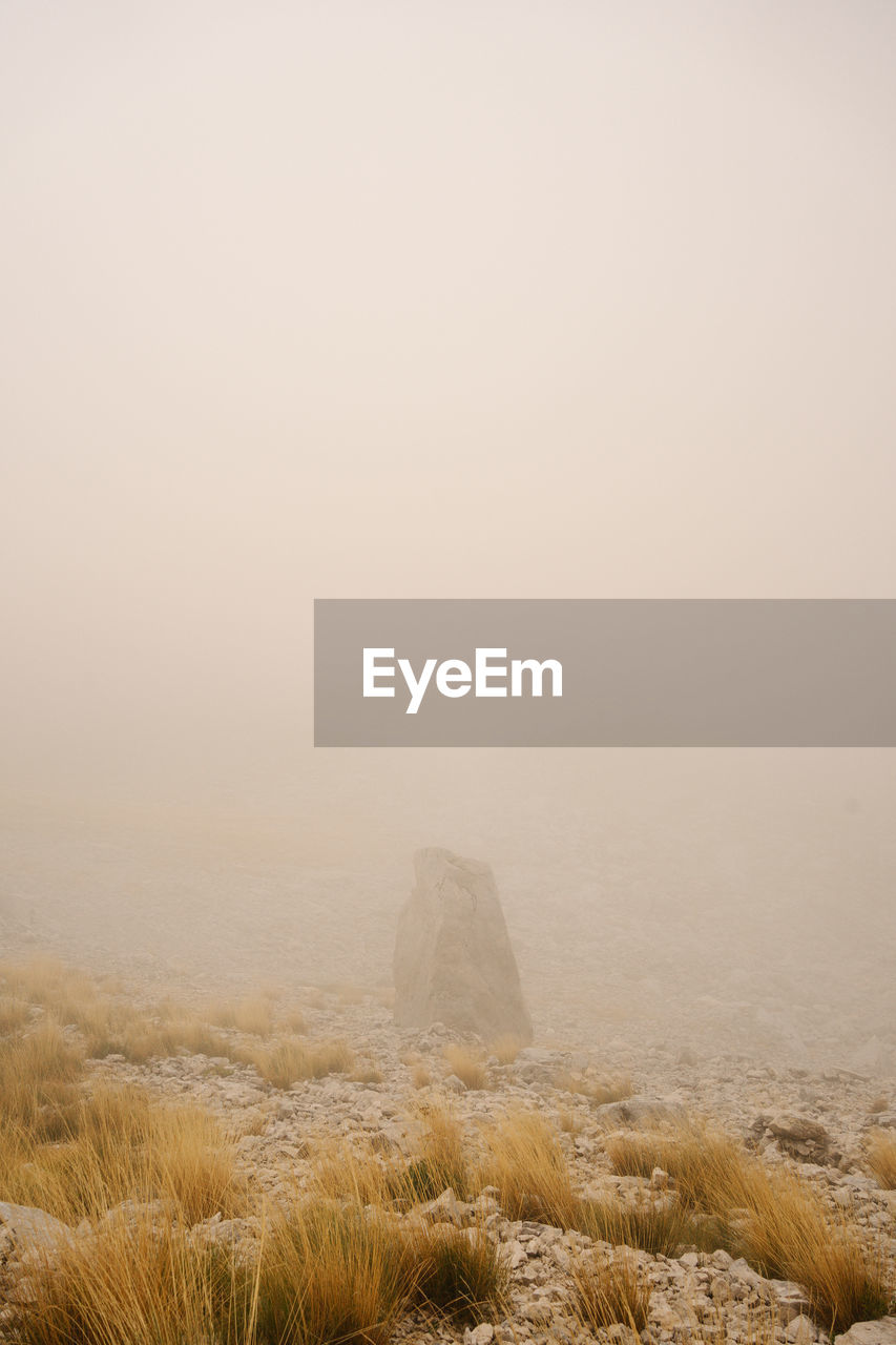 Scenic view rock against fog