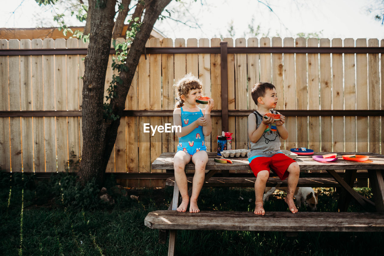 Brother and sister sitting on picnic table eating fresh watermelon