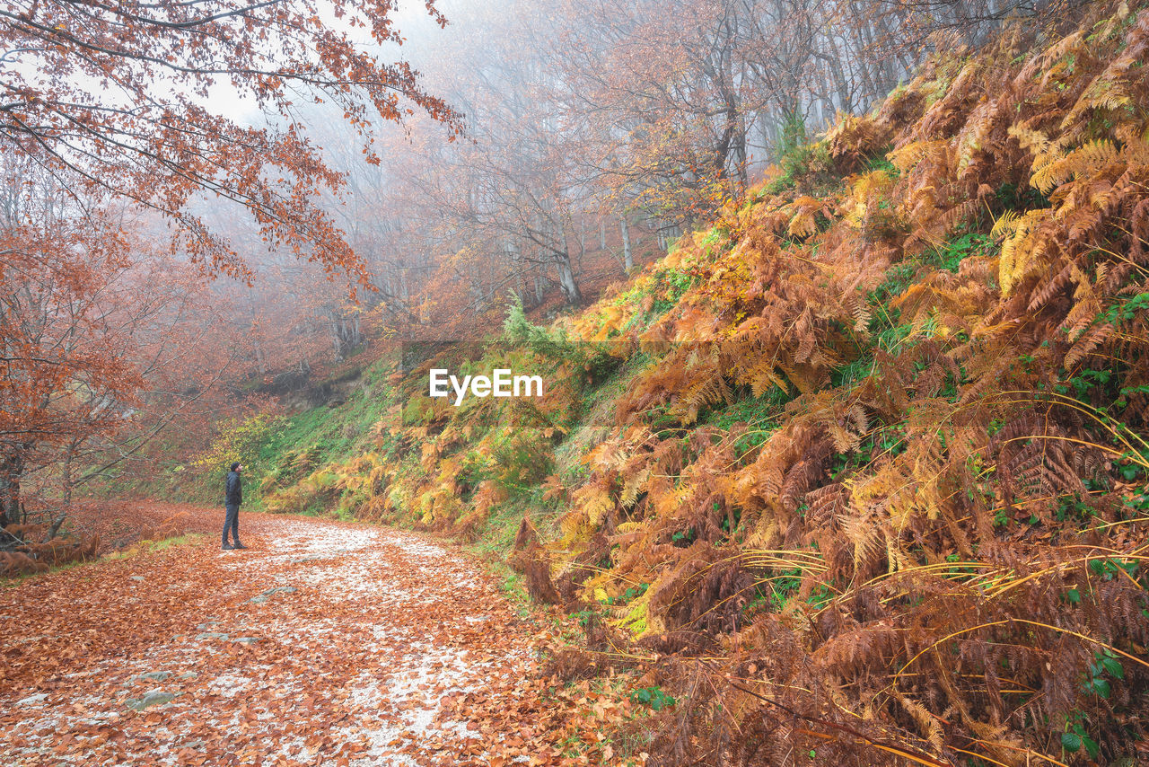 Close-up of a man against autumn landscape