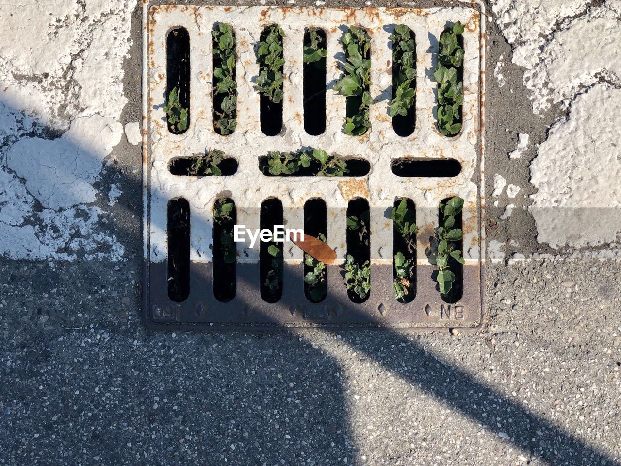 High angle view of metal grate on road