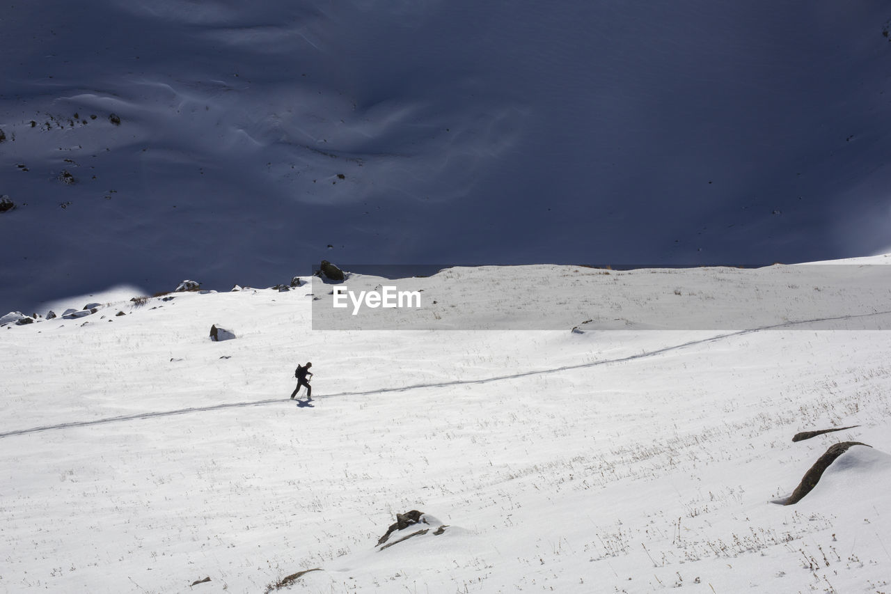 One person skis in an alpine meadow in colorado.