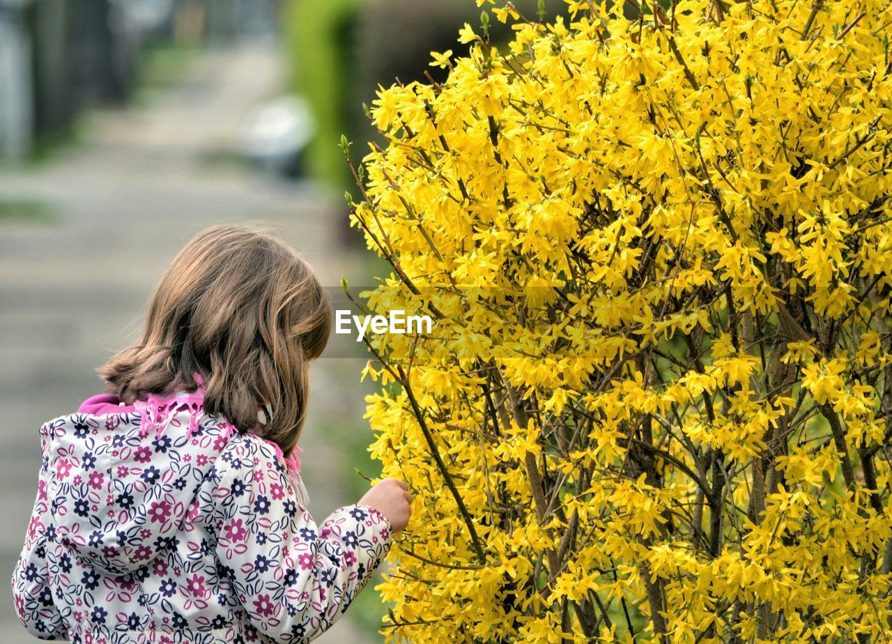 Rear view of girl touching yellow flowers at park