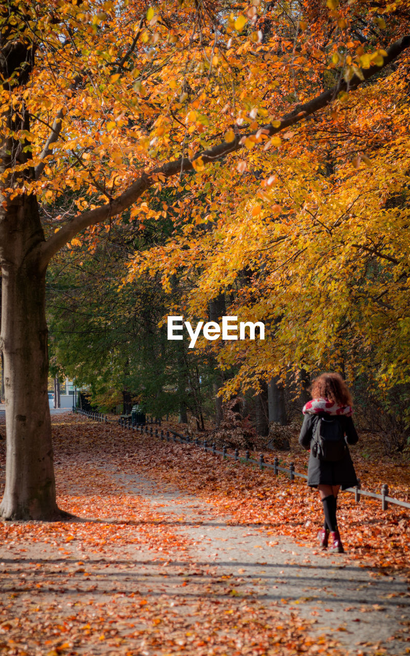 Rear view of woman walking on footpath amidst trees during autumn