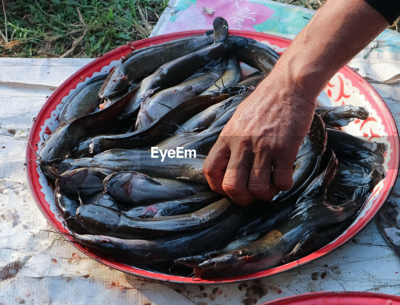 MIDSECTION OF MAN PREPARING FISH IN CONTAINER