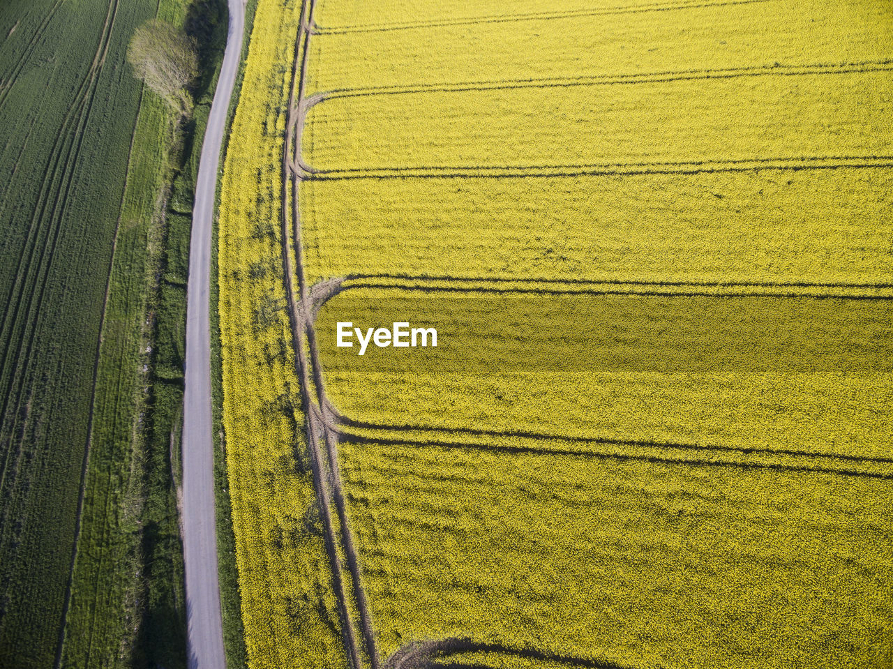 High angle view of agricultural field