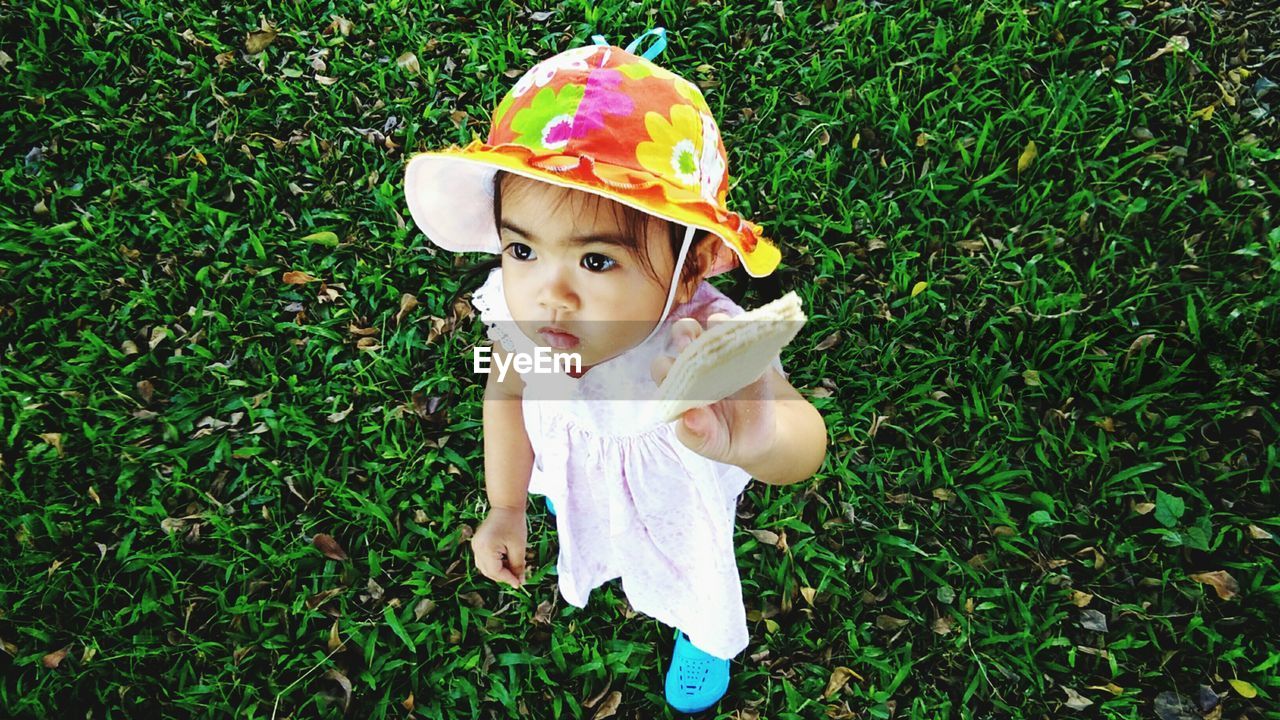 High angle view of cute baby girl standing on grassy field