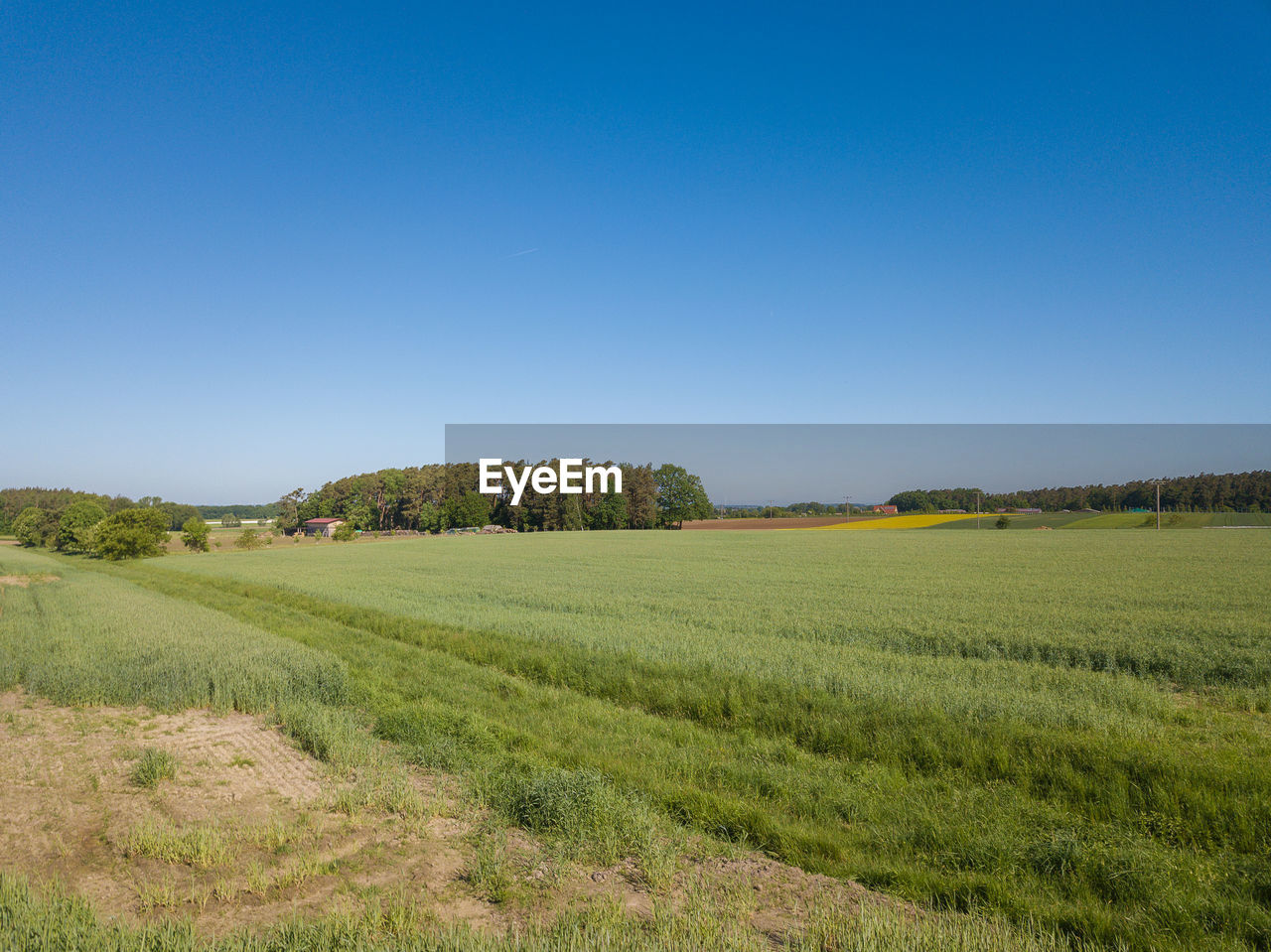 SCENIC VIEW OF LAND AGAINST CLEAR SKY