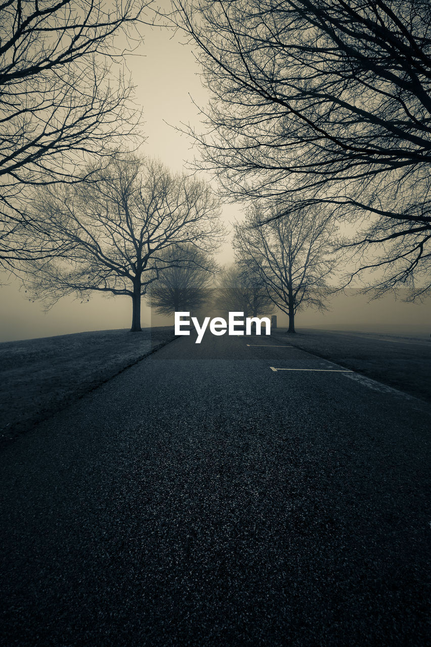 Road amidst bare trees against sky during winter