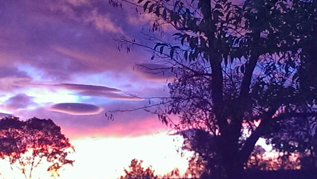 SILHOUETTE OF BARE TREE AGAINST DRAMATIC SKY