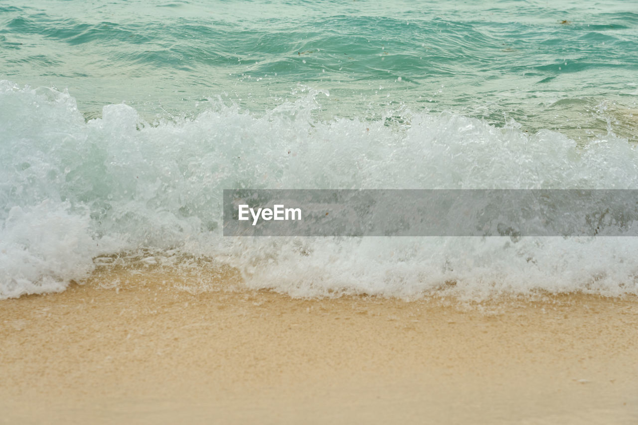 water, sea, motion, wave, beach, wind wave, land, shore, water sports, sand, sports, surfing, beauty in nature, body of water, nature, ocean, coast, scenics - nature, day, power in nature, outdoors, splashing