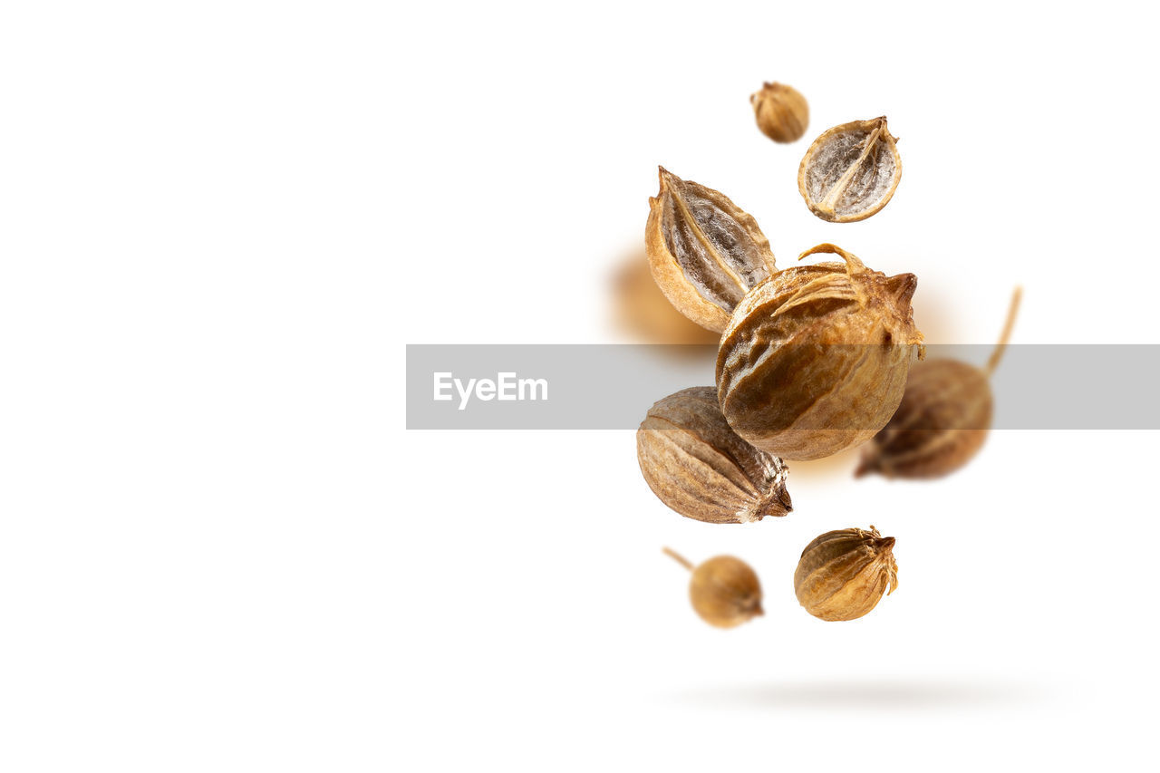 produce, food, nuts & seeds, white background, cut out, food and drink, studio shot, leaf, nut, nut - food, indoors, no people, copy space, plant, close-up, still life, flower, fruit, group of objects