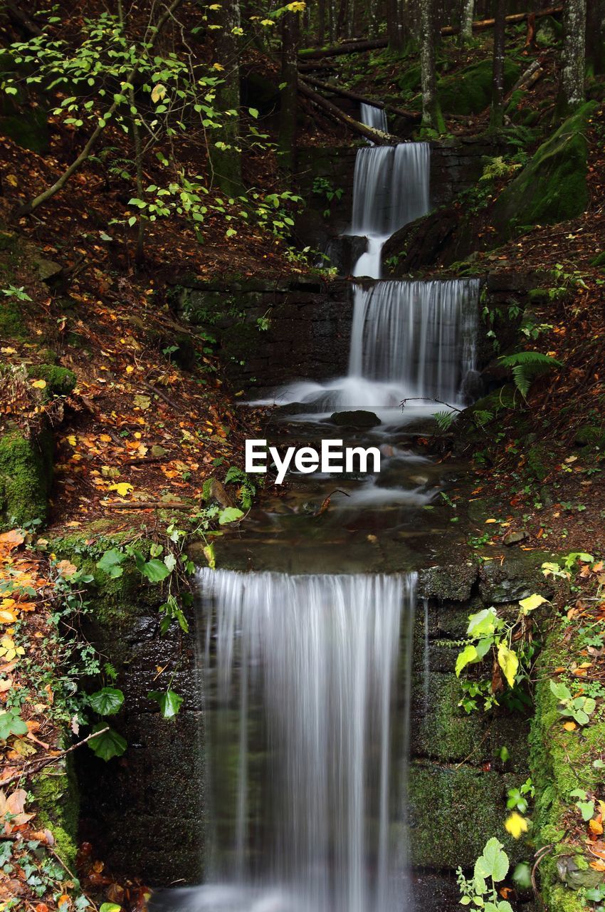 WATERFALL IN FOREST DURING AUTUMN