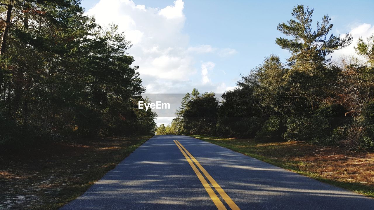 Empty road amidst trees against sky