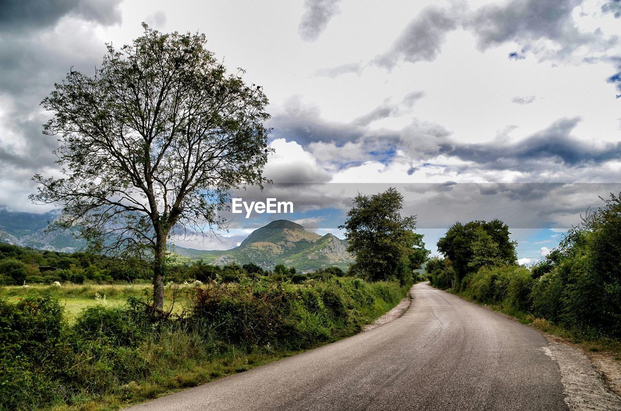 Trees growing by empty road against sky