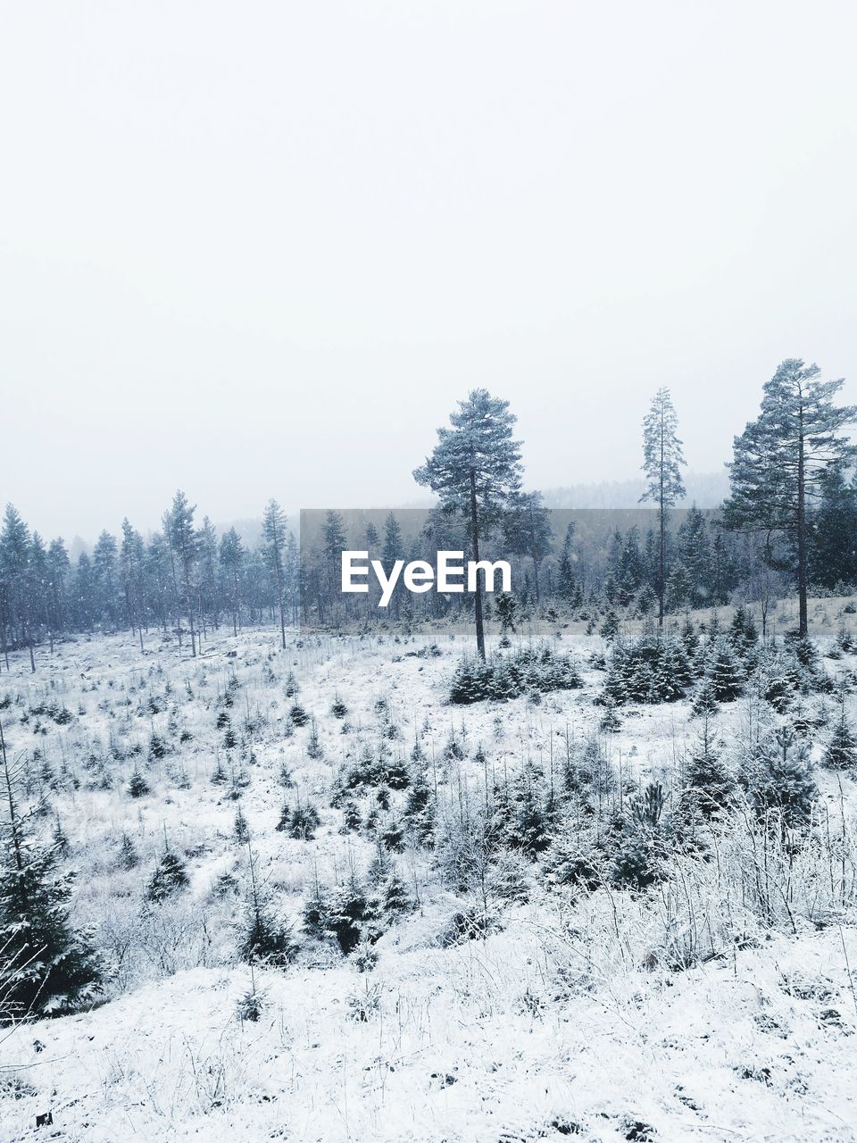 Scenic view of snow against clear sky