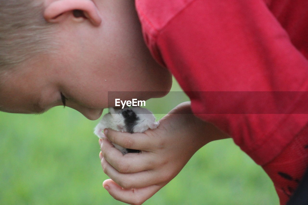 Close-up of boy kissing hamster