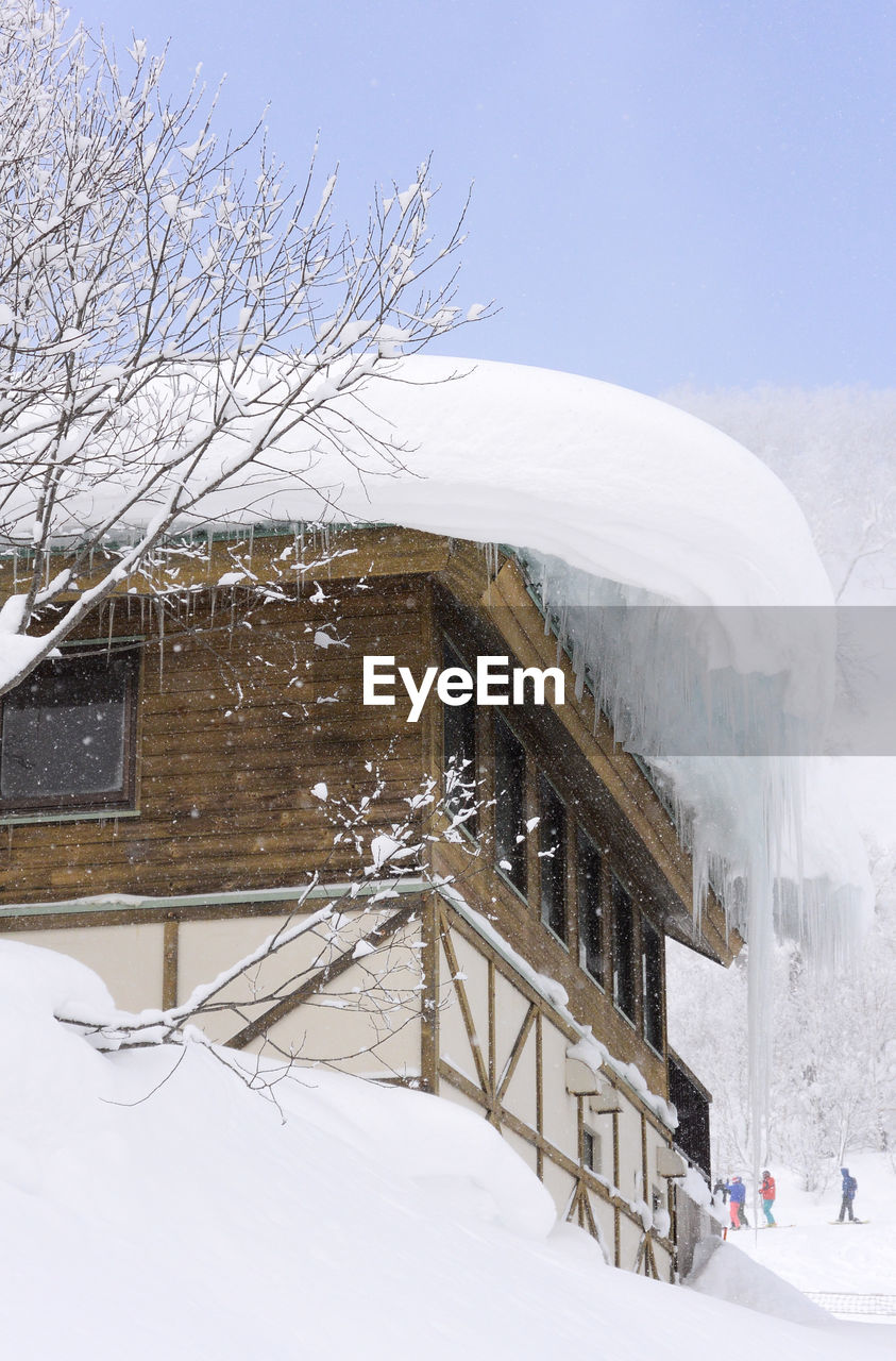 SNOW COVERED TREES BY BUILDINGS AGAINST SKY