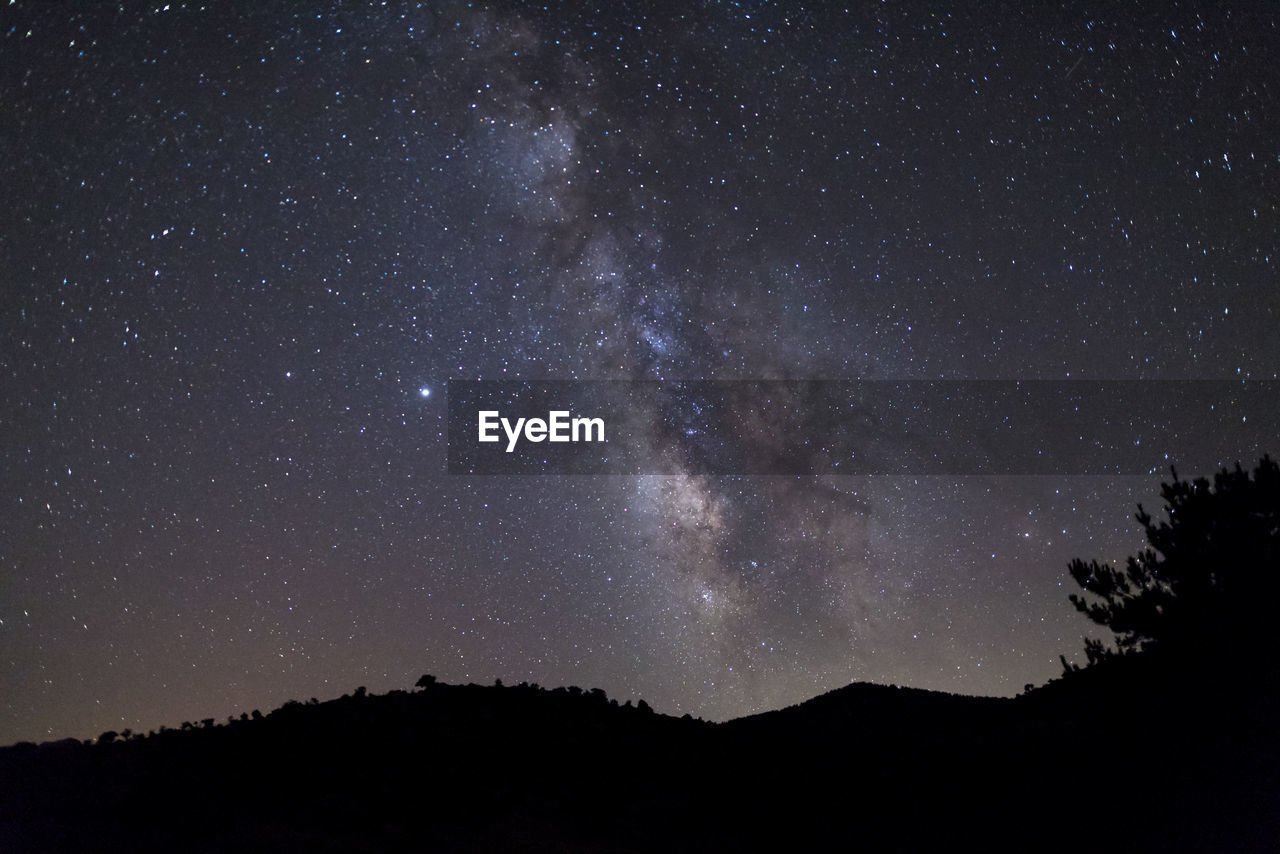 LOW ANGLE VIEW OF SILHOUETTE TREES AGAINST STAR FIELD AGAINST SKY