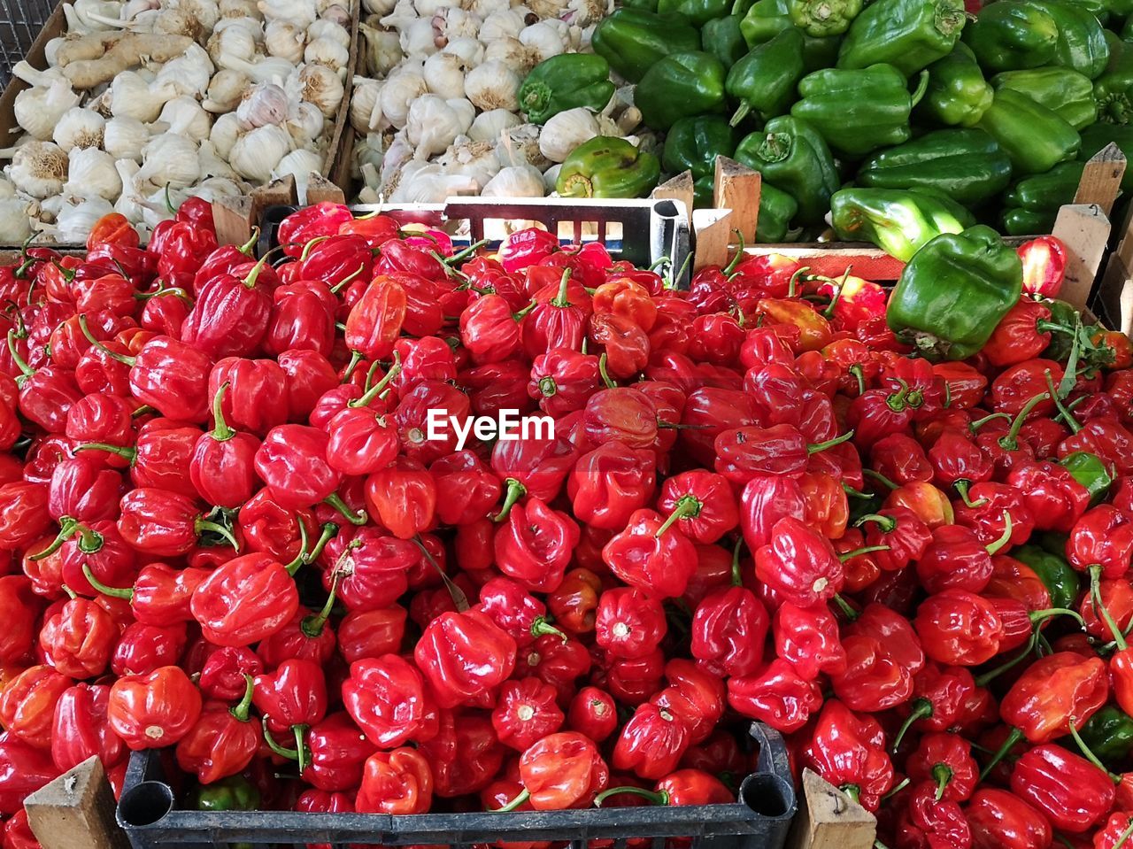 RED CHILI PEPPERS FOR SALE IN MARKET STALL