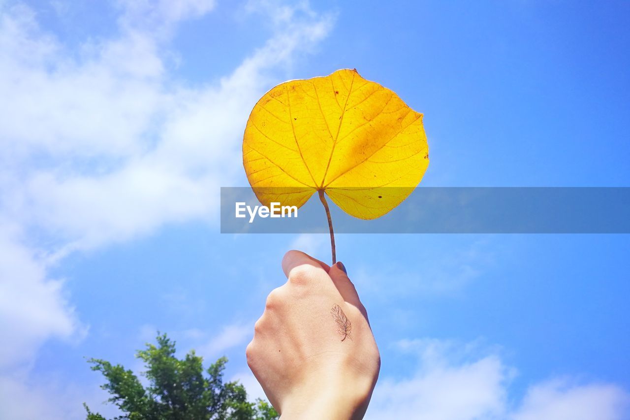 Cropped hand of woman holding yellow autumn leaf against blue sky