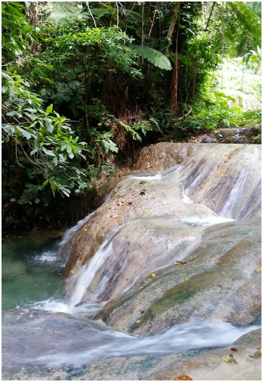 SCENIC VIEW OF WATERFALL