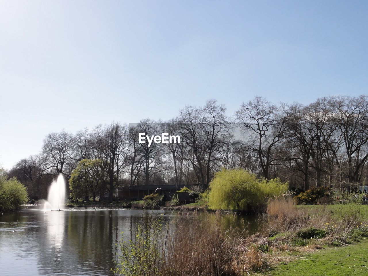 Scenic view of river against clear sky