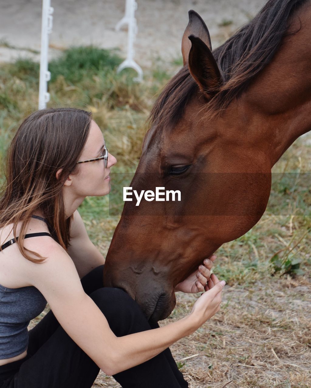 Side view of woman sitting by horse on field