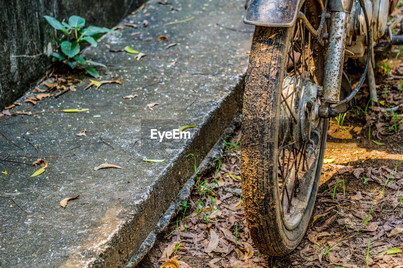 BICYCLE BY TREE TRUNKS