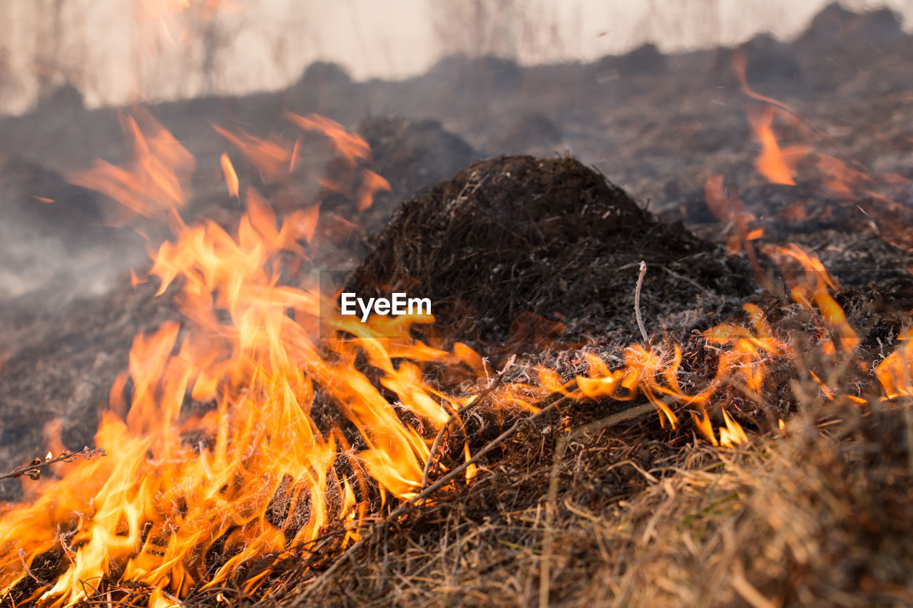 Close-up of bonfire