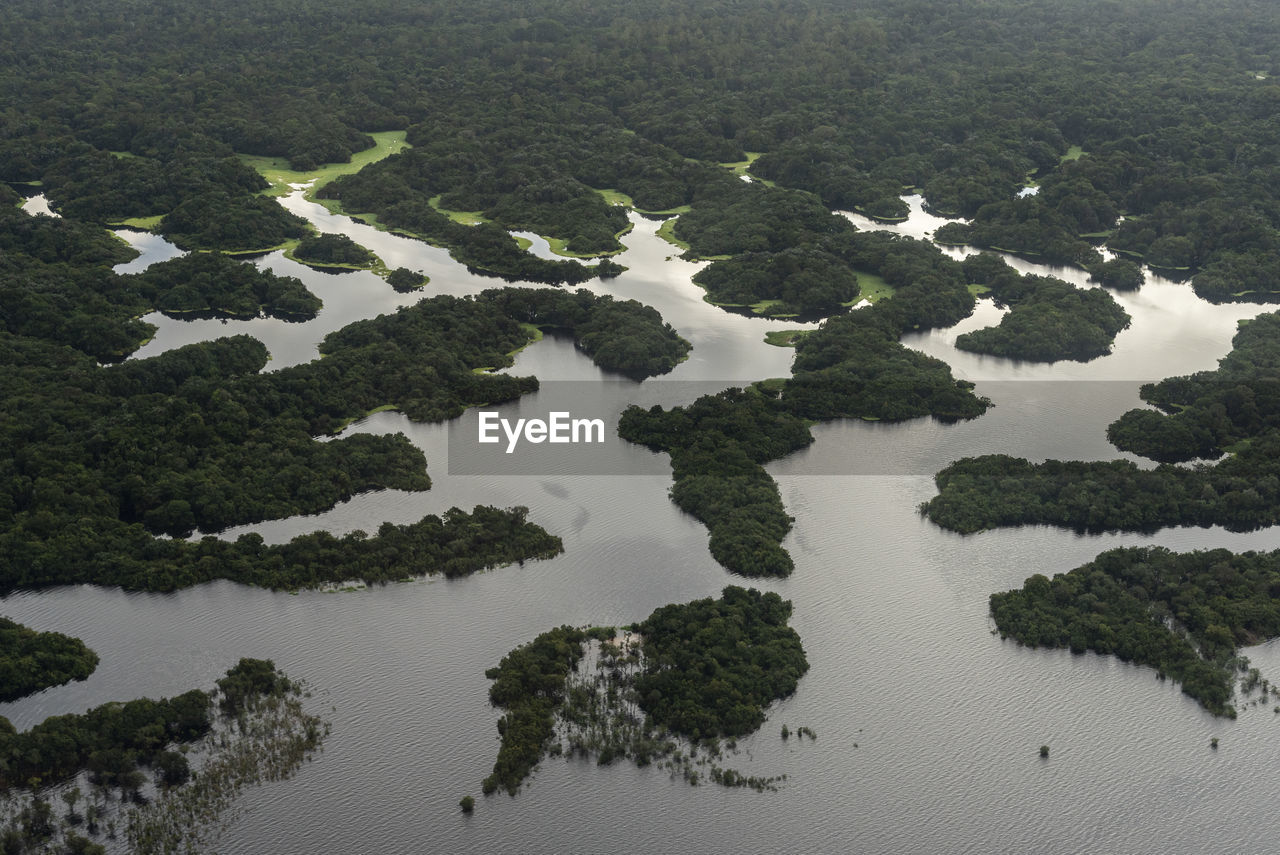 Beautiful aerial view to flooded green amazon rainforest and river