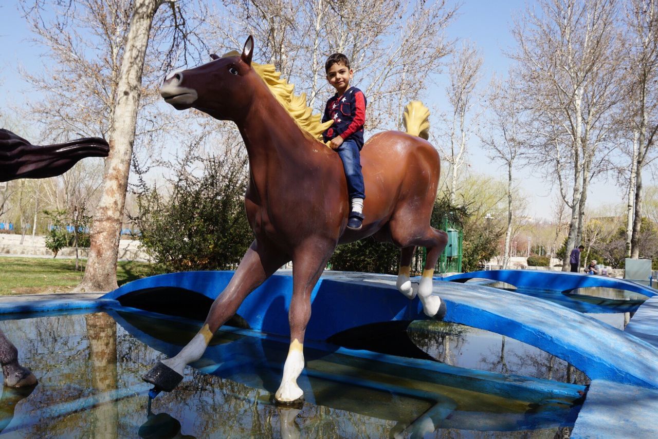 MAN RIDING HORSE IN ZOO