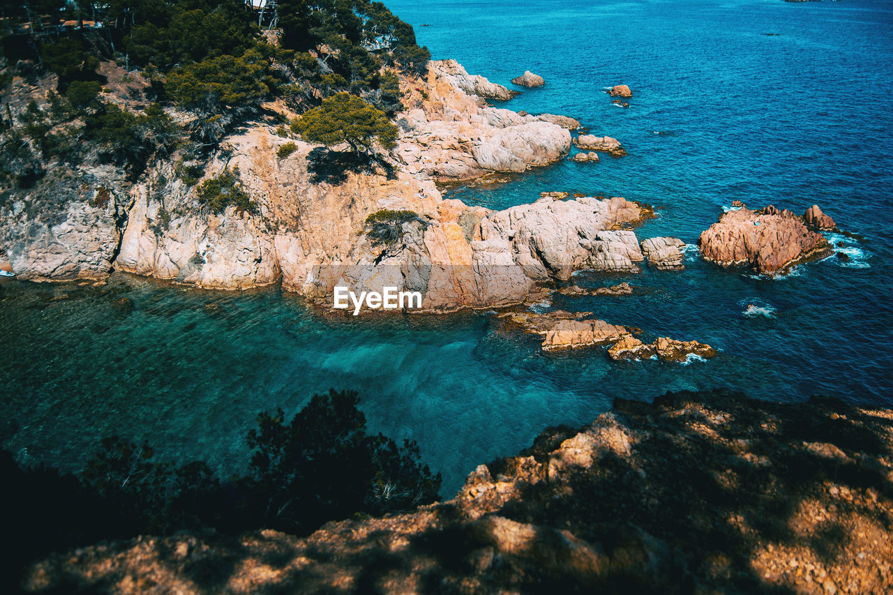 Seascape with views of a small rocky cove surrounded by a grove on a sunny day