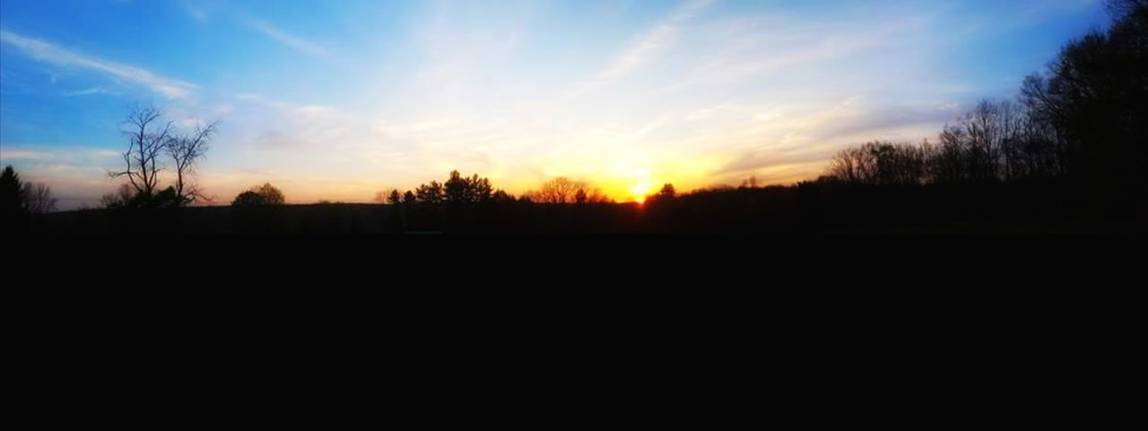 SILHOUETTE TREES AGAINST SKY DURING SUNSET