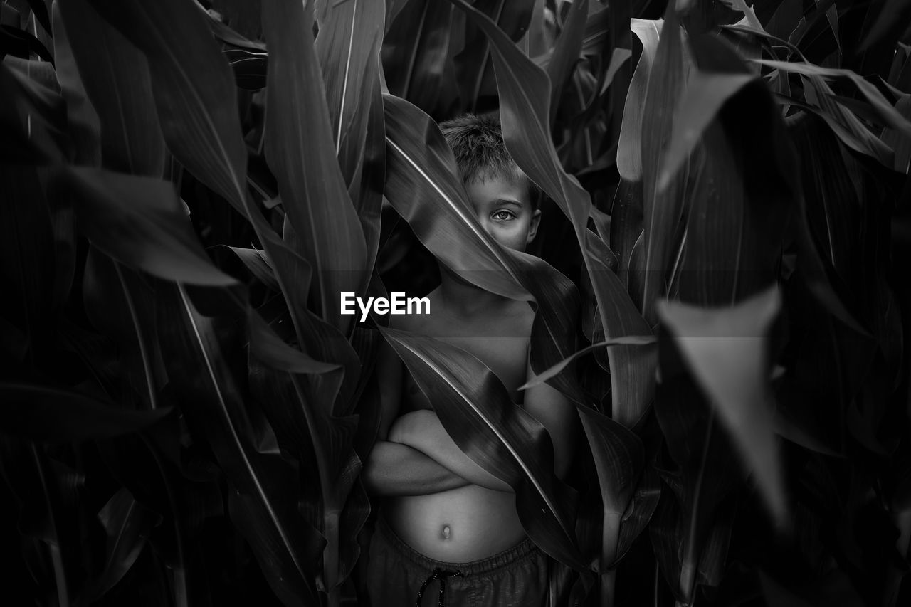 Portrait of boy amidst crops on agricultural field