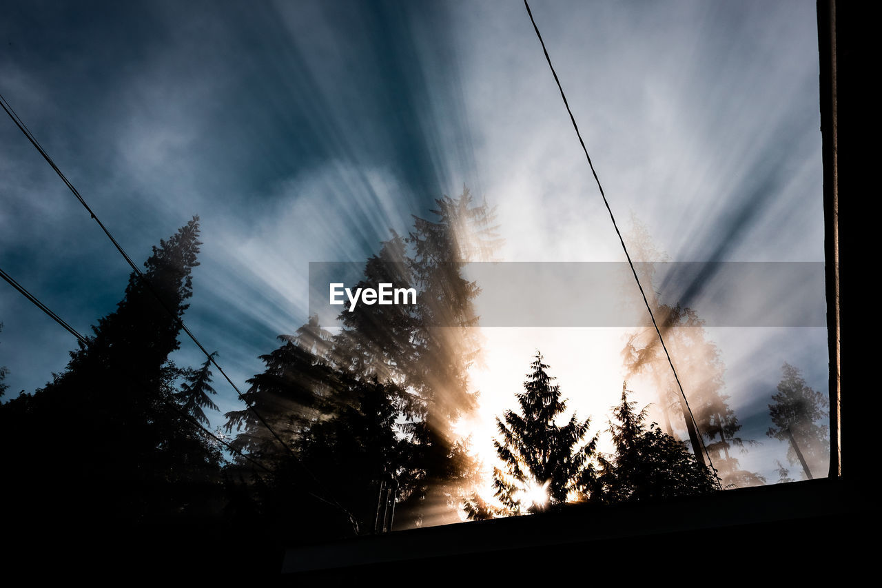 LOW ANGLE VIEW OF SILHOUETTE TREES AGAINST SKY SEEN THROUGH WINDOW
