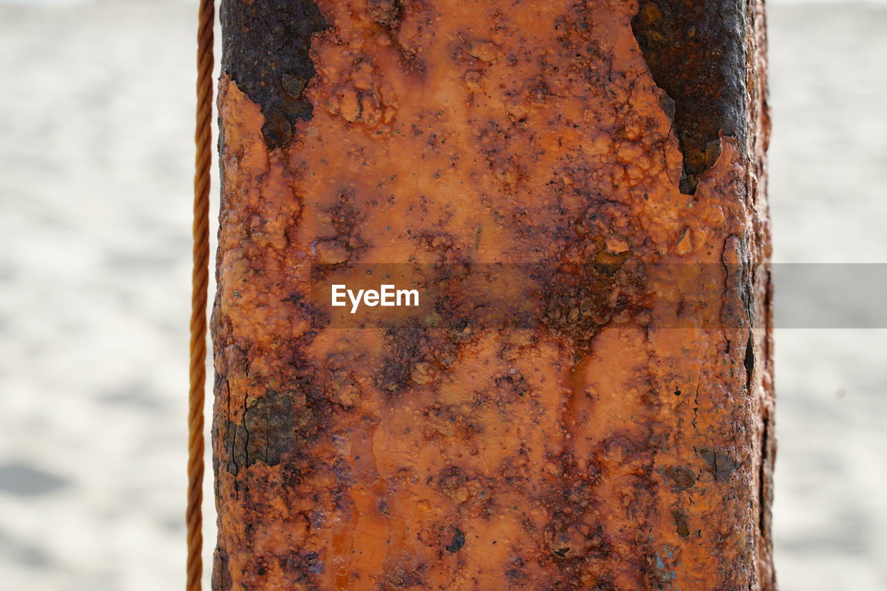 CLOSE-UP OF RUSTY BARK