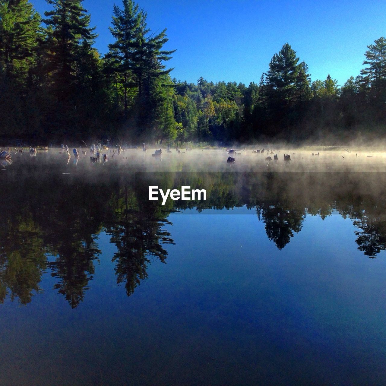 Reflection of trees in lake water