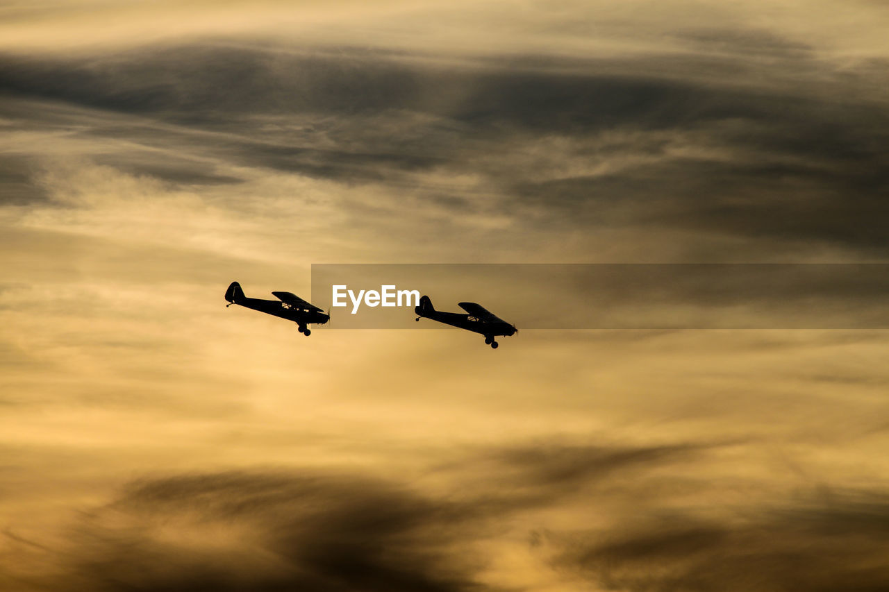 LOW ANGLE VIEW OF SILHOUETTE FLYING AGAINST SKY